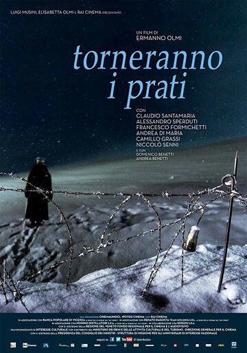 Torneranno i prati (2014)